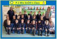 Primary 1 LS